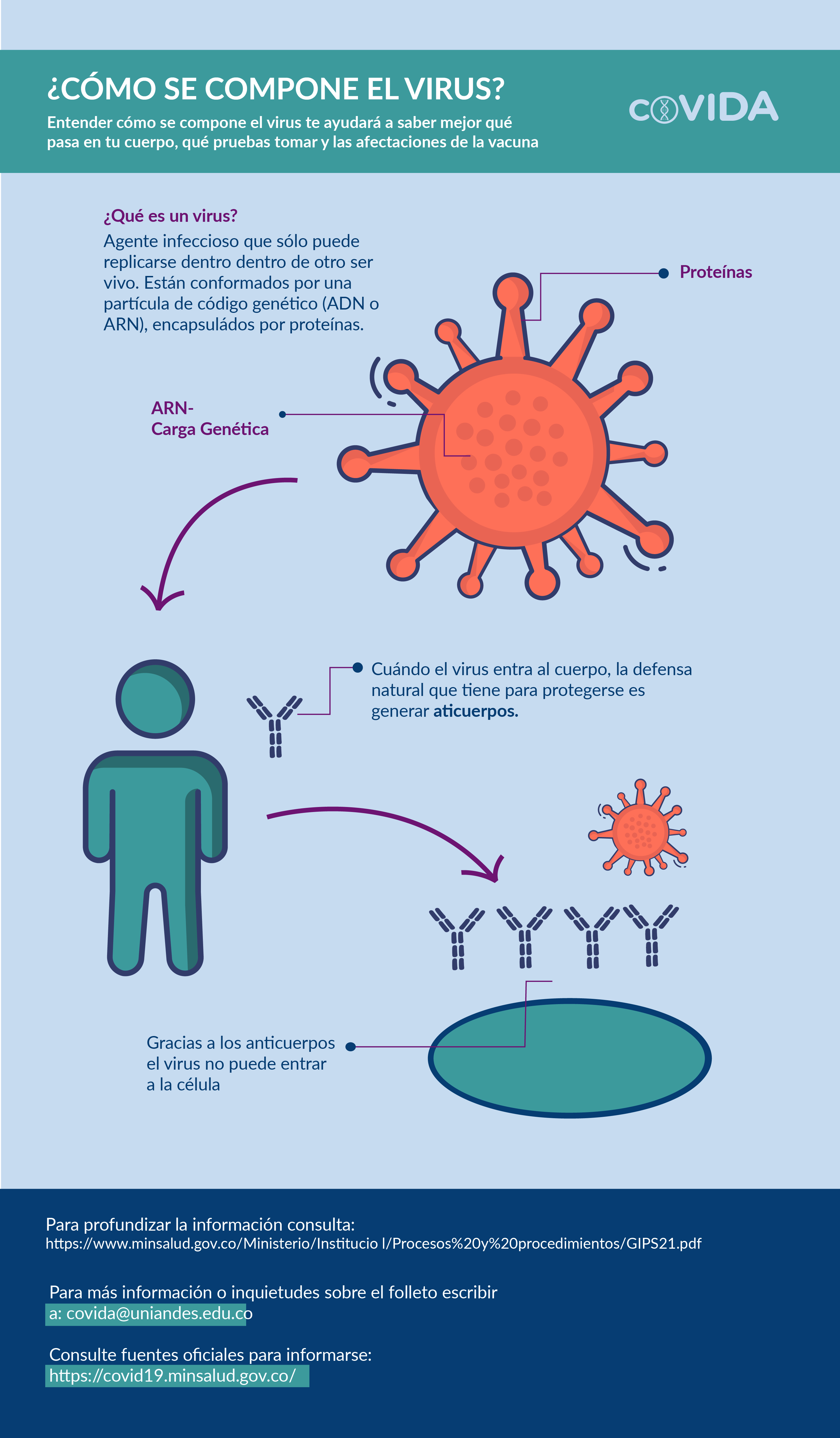 Funcionamiento de un virus explicación